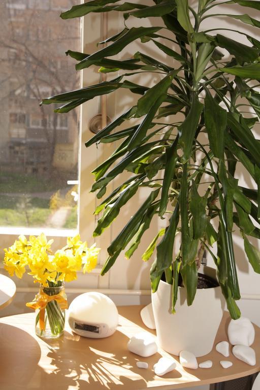 Apartment Spacious Liman Novi Sad Luaran gambar