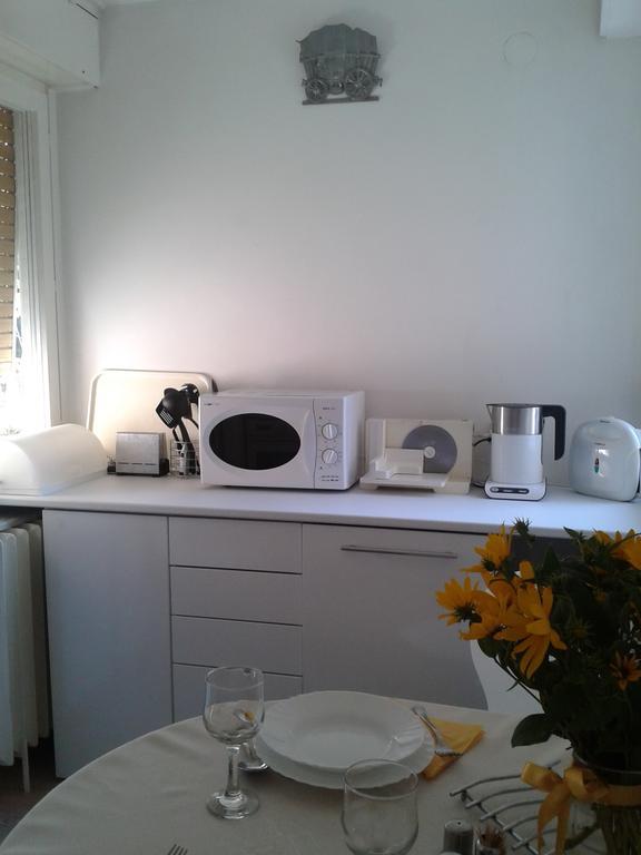 Apartment Spacious Liman Novi Sad Luaran gambar