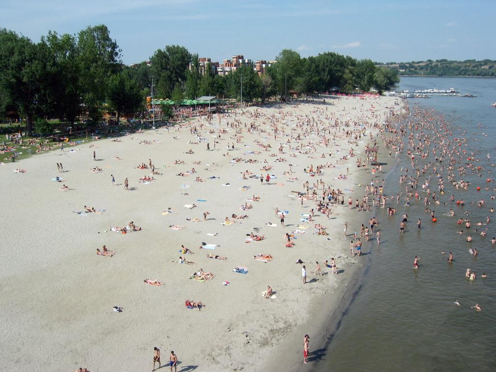 Apartment Spacious Liman Novi Sad Luaran gambar