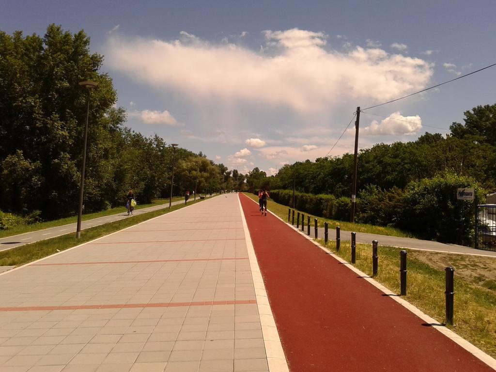 Apartment Spacious Liman Novi Sad Luaran gambar