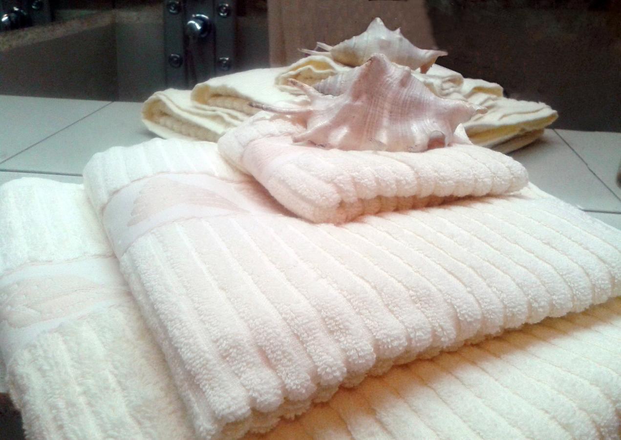 Apartment Spacious Liman Novi Sad Luaran gambar