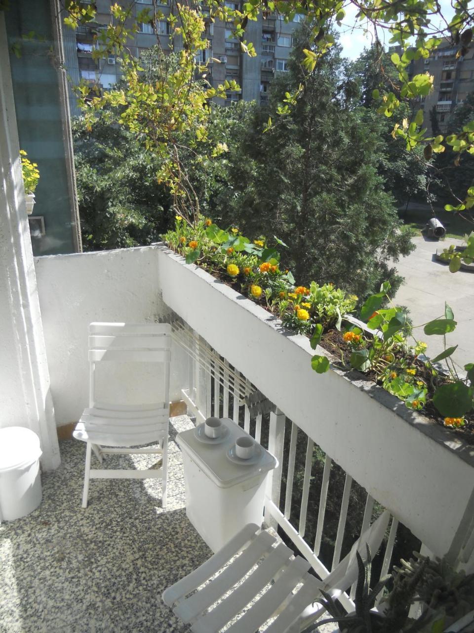 Apartment Spacious Liman Novi Sad Luaran gambar
